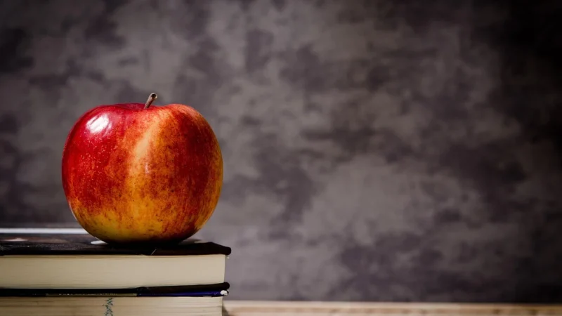 Cyfrowe zasoby edukacyjne w codziennej pracy nauczyciela